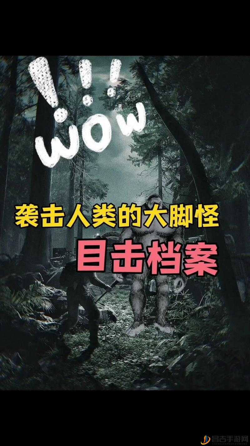 91cg 吃瓜：探寻热门事件背后的真相与未知之谜